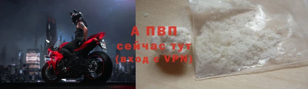 PSILOCYBIN Кукмор