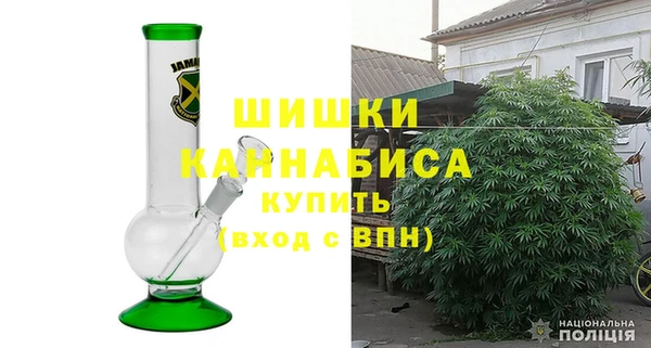 PSILOCYBIN Кукмор