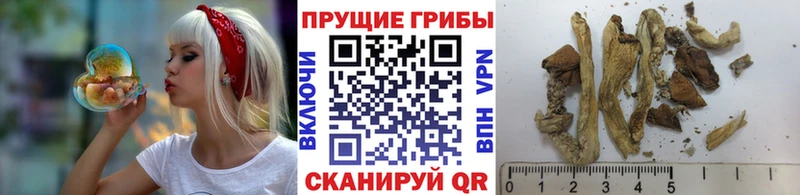 гидра зеркало  Волжский  Псилоцибиновые грибы мухоморы 