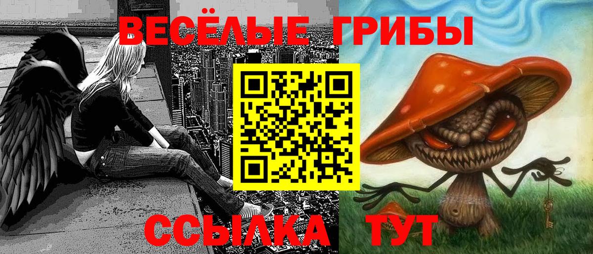 Галлюциногенные грибы прущие грибы Волжский