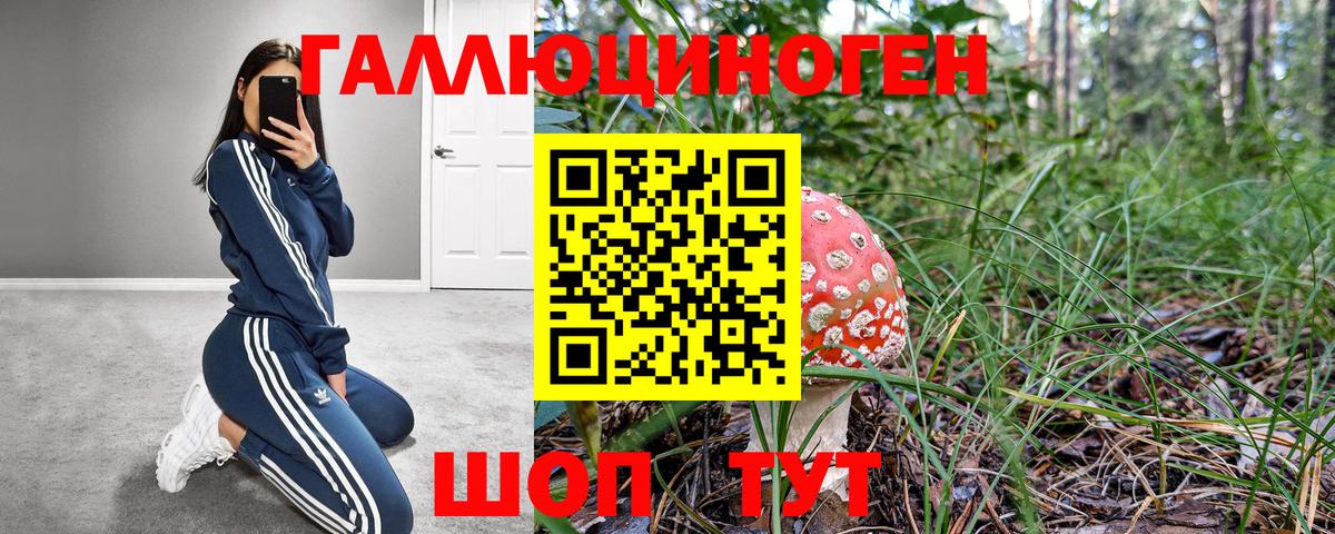 Волжский  Псилоцибиновые грибы MAGIC MUSHROOMS  Вход с VPN  Галлюциногенные грибы Psilocybe 