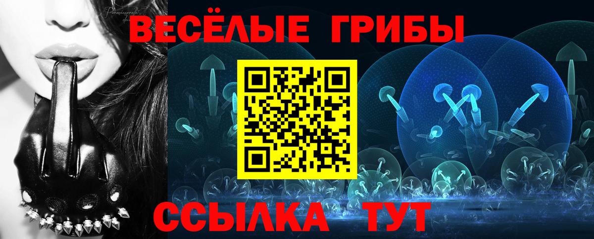Галлюциногенные грибы Psilocybine cubensis Волжский