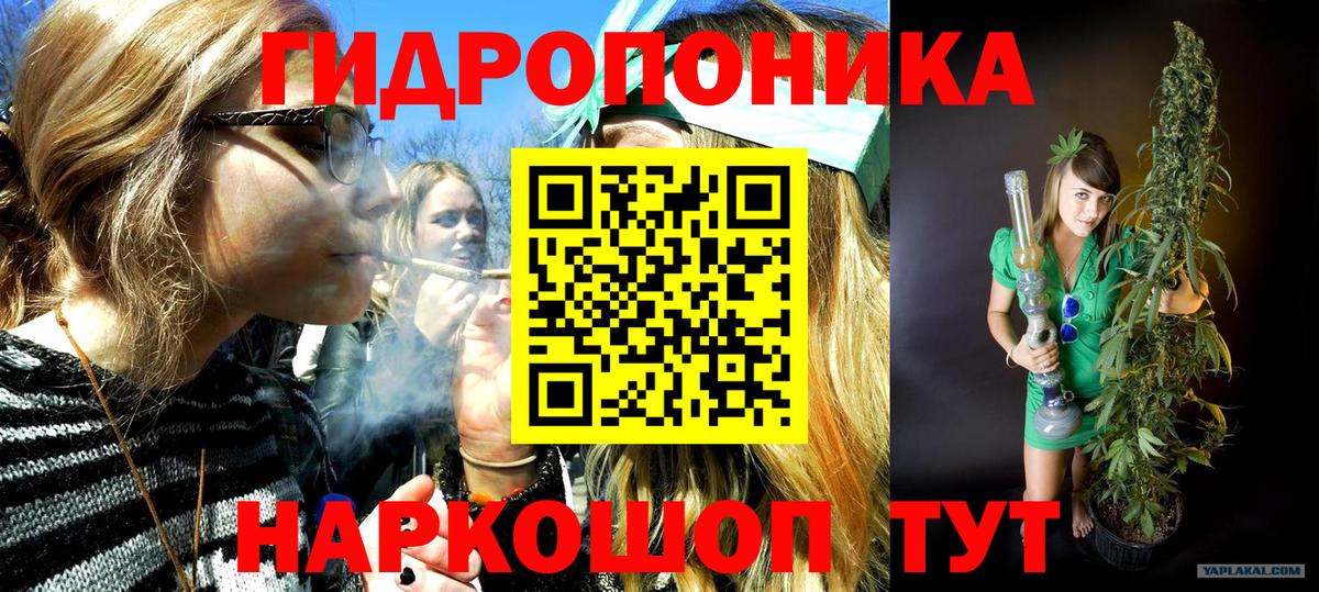 Бошки Шишки тримм Волжский